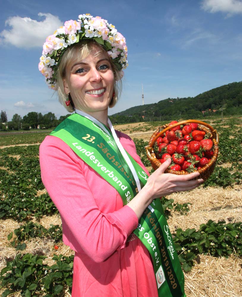 23. Blütenkönigin mit Erdbeeren